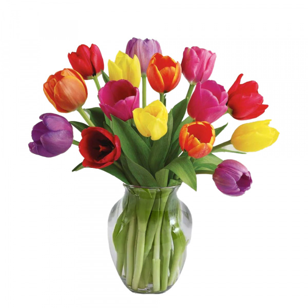15 Spring Tulips 