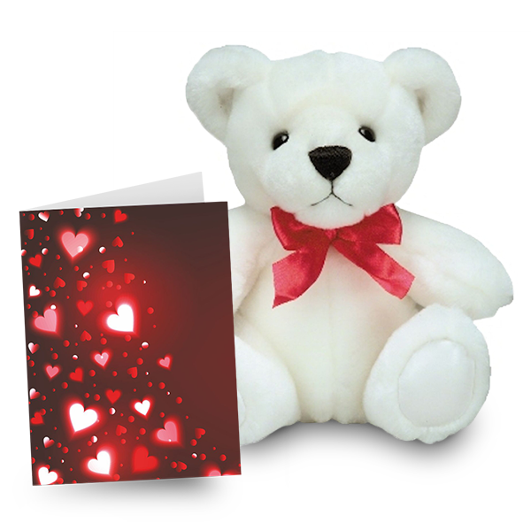 Teddy and Card Special 