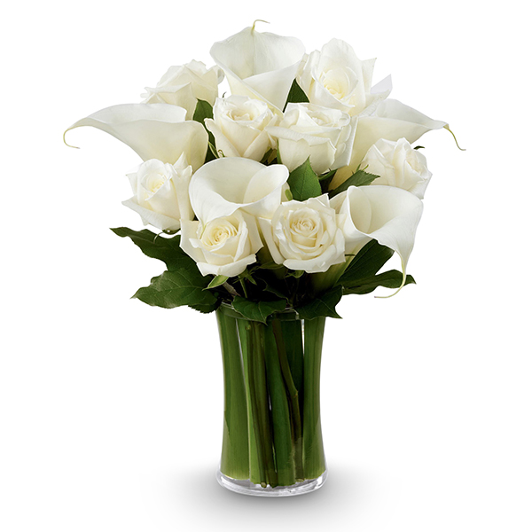 White Elegance Buy Online In Rollason Flowers